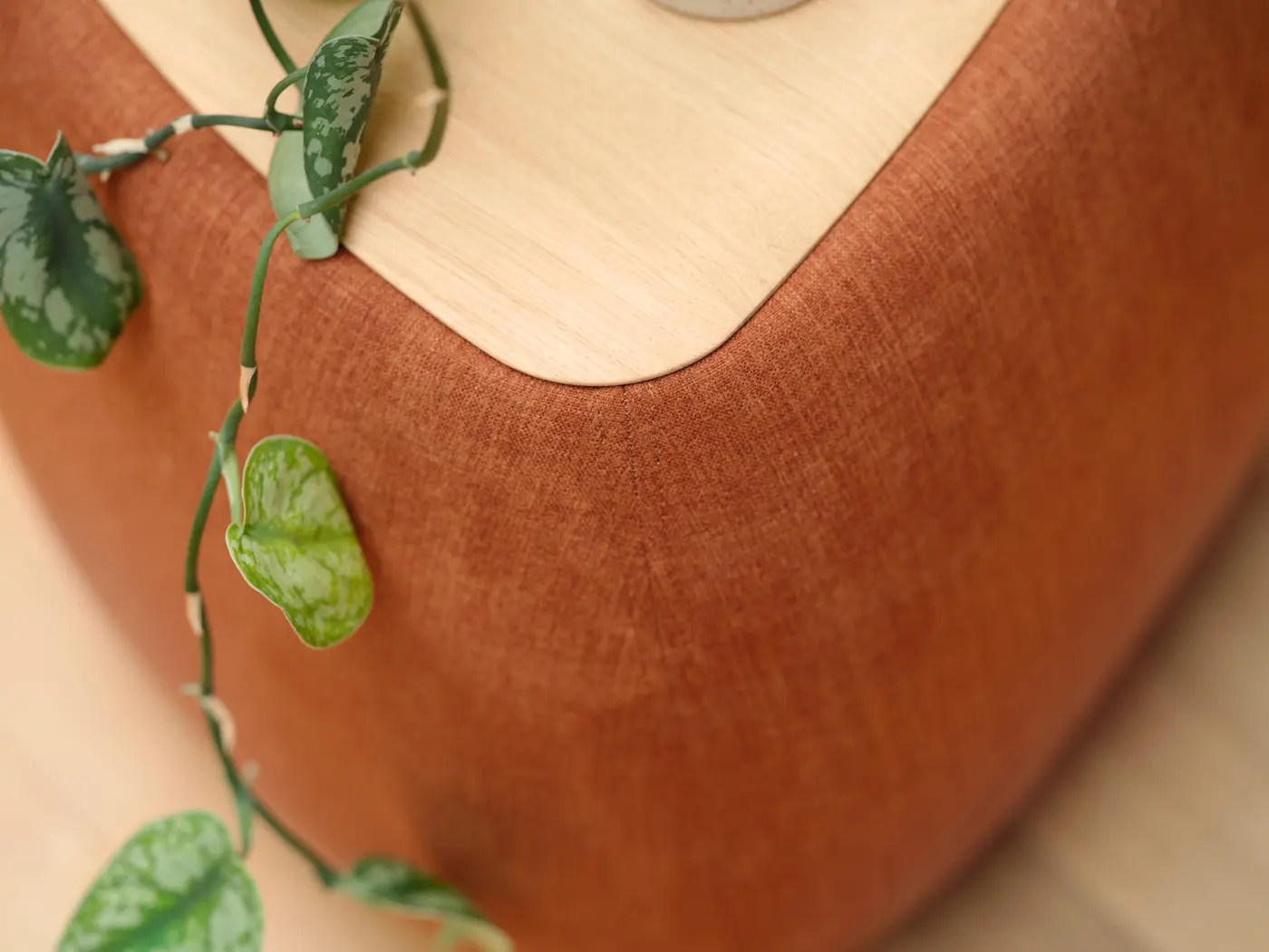 Textile terracotta et feuillage sur un plateau en bois.